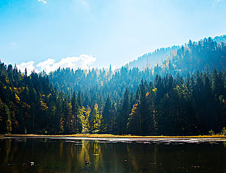 小,湖,秋日树林,靠近,山谷,巴伐利亚,德国,欧洲