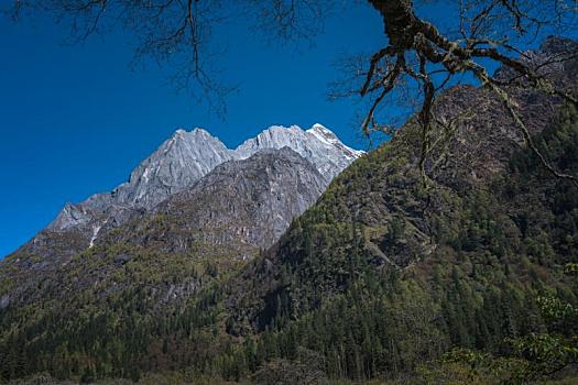 中国四川阿坝小金县四姑娘山