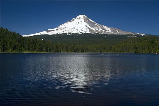 湖,正面,山,延龄草,胡德山,国家森林,波特兰,姆尔特诺默县,俄勒冈,美国