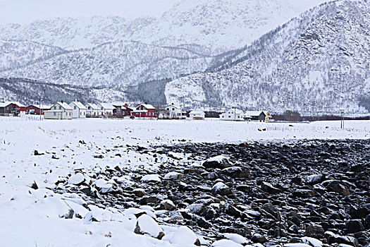 积雪,风景,罗浮敦群岛,挪威