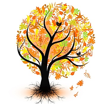 彩色,秋天,树