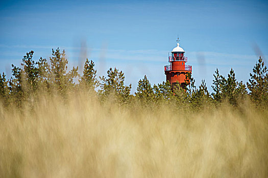 风景,灯塔,海边,草,岛屿,爱沙尼亚