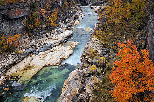 秋色,峡谷,河流,国家公园,拉普兰,瑞典,欧洲