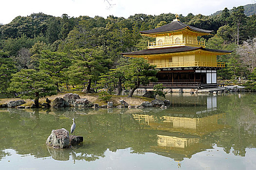 日本,京都,金阁寺