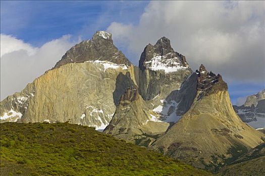 原驼,草,斜坡,崎岖,山峦,背景,托雷德裴恩国家公园,巴塔哥尼亚,智利