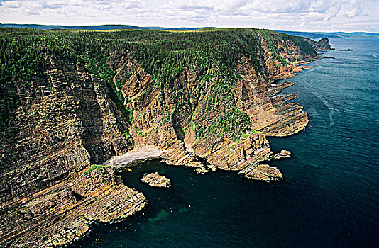 悬崖,海岸,纽芬兰,加拿大