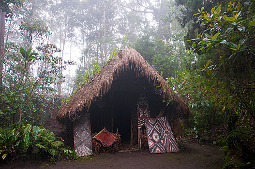 小屋,部族,乡村,高地,巴布亚新几内亚,大洋洲