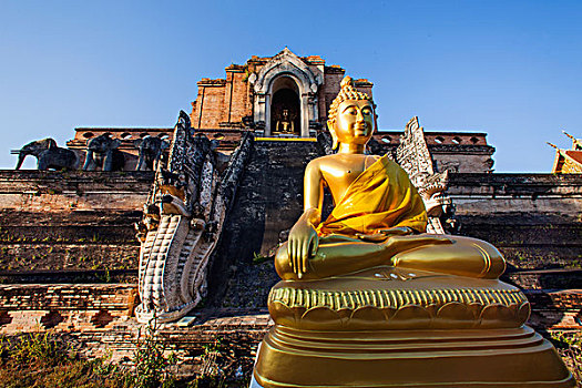 泰国,清迈,寺院,契迪