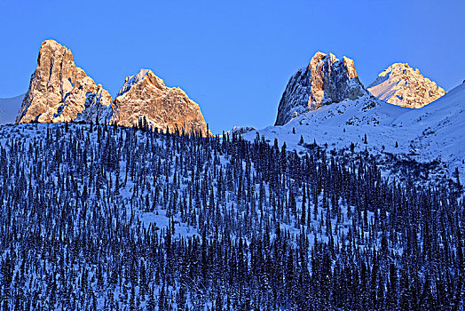 北美,美国,阿拉斯加,北方,公路,布鲁克斯山,冬季风景