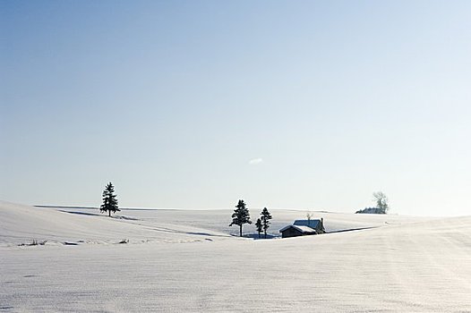 美瑛,冬季风景