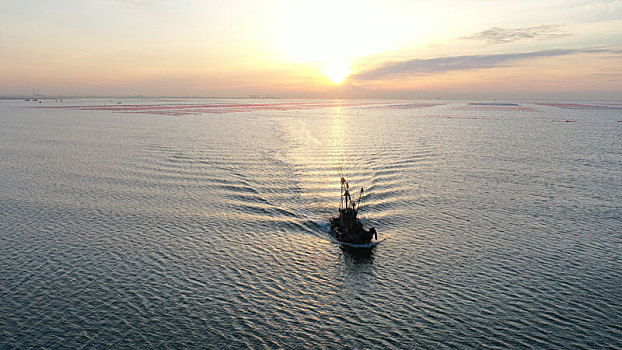 航拍渔民在金色海洋里捞小虾,成了一道靓丽风景线