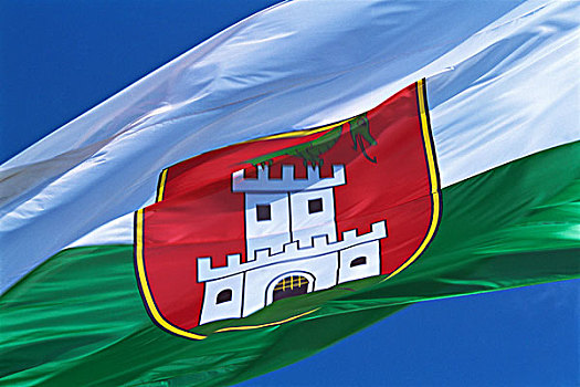 斯洛文尼亚,卢布尔雅那,旗帜