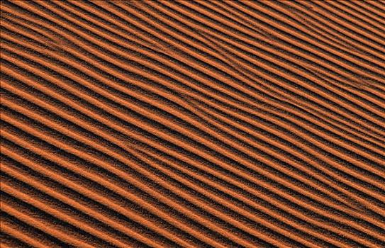 沙子,建筑,撒哈拉沙漠