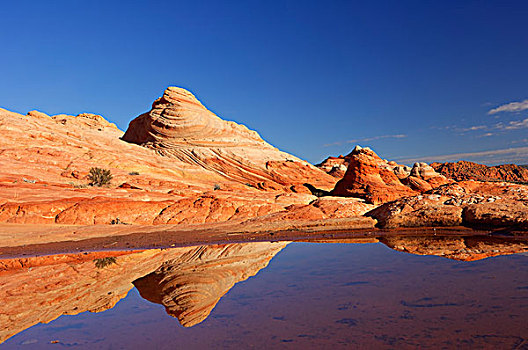 砂岩,岩石构造,反射,季节,雨水,水塘,帕瑞亚谷,荒野,朱红色,悬崖,亚利桑那,美国
