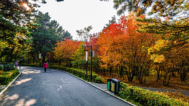 中国长春南湖公园秋季红叶风景