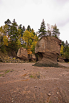 苹果,石头,霍伯威尔岩,芬地湾,新布兰斯维克,加拿大