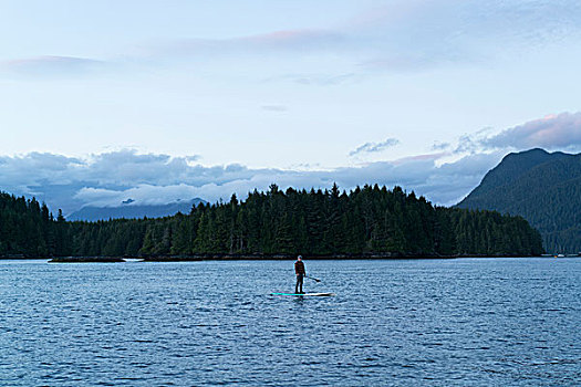 站立,男人,板,水上,环太平洋国家公园,温哥华岛,加拿大