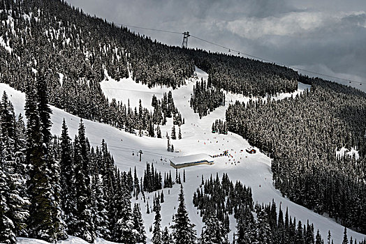 风景,滑雪胜地,树,山,惠斯勒,不列颠哥伦比亚省,加拿大