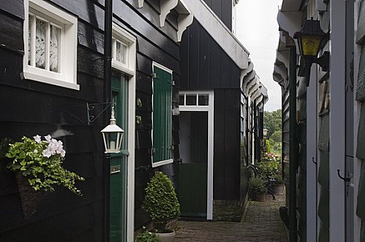 小路,房子,北荷兰,荷兰