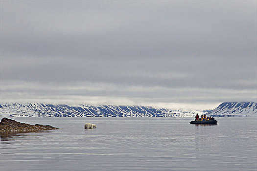 游客,黄道十二宫,充气,看,北极熊,斯匹次卑尔根岛,挪威
