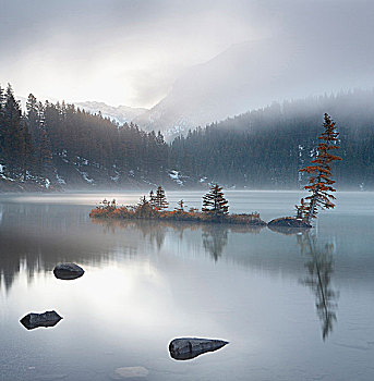 湖,遮盖,雾,日出,加拿大,班夫国家公园,班芙国家公园,艾伯塔省