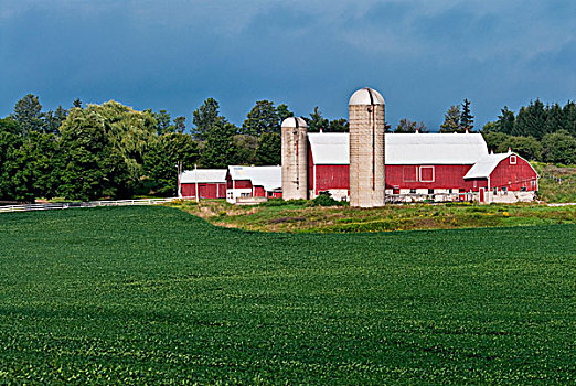 乌云,农场,大豆,作物,靠近,安大略省,加拿大