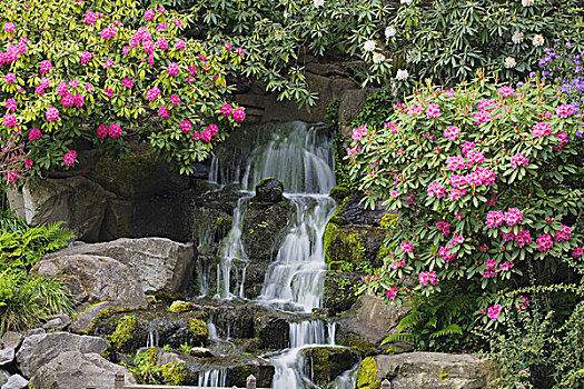 喷泉,景色,花园