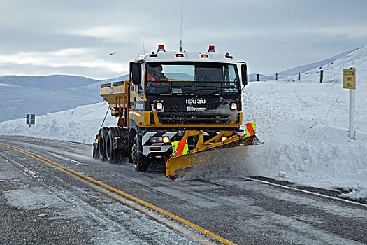 雪犁,公路,冬天,奥塔哥,南岛,新西兰