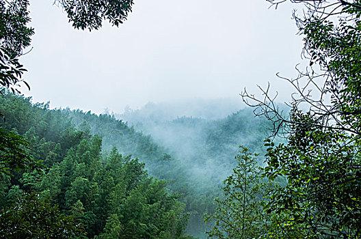 雨雾山景