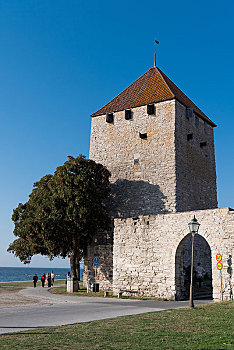 城门,牢固,防卫,塔,中世纪城市,墙壁,世界遗产,维斯比,哥特兰岛,岛屿,瑞典,欧洲