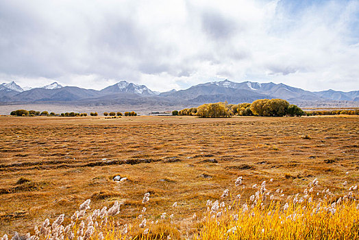 新疆帕米尔高原喀拉苏村庄的田野