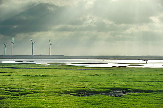 gaomei,wetland