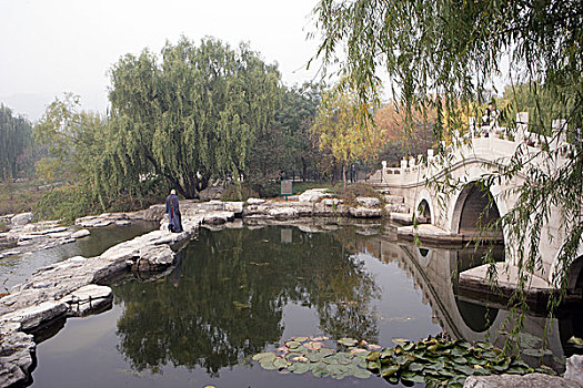 北京香山植物园