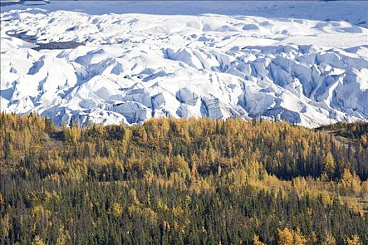 冰河,秋色,楚加奇山,阿拉斯加,美国