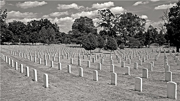 华盛顿,阿灵顿国家公墓