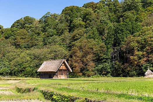 传统,日本,乡村