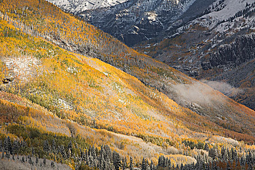 美国,科罗拉多,圣胡安山,红山,秋天,下雪,画廊