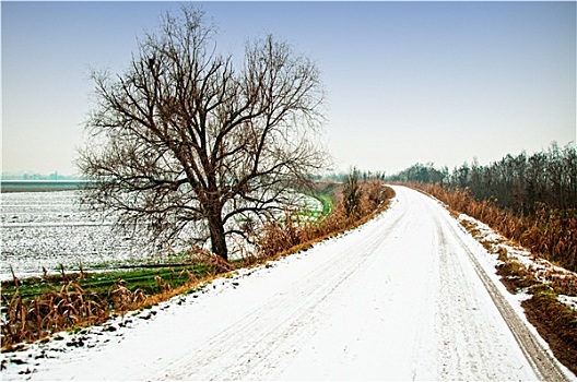 冬天,乡村道路,雪,山谷