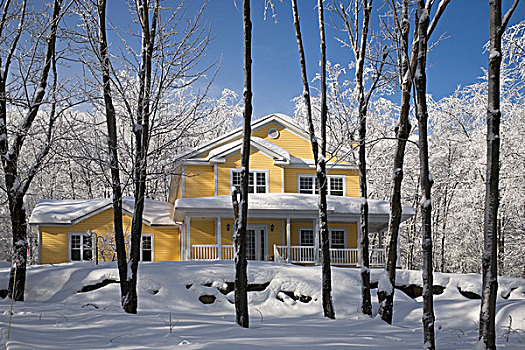 房子,树,魁北克,加拿大