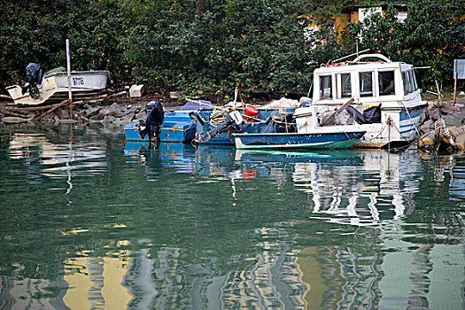 渔船,海岸,香港