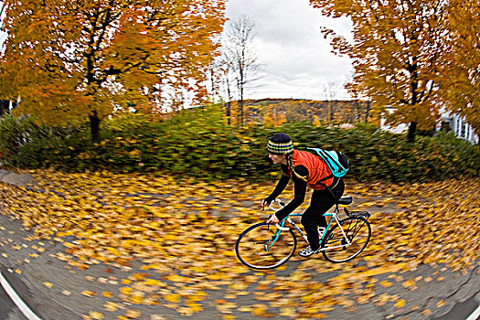 女青年,通勤,自行车,魁北克
