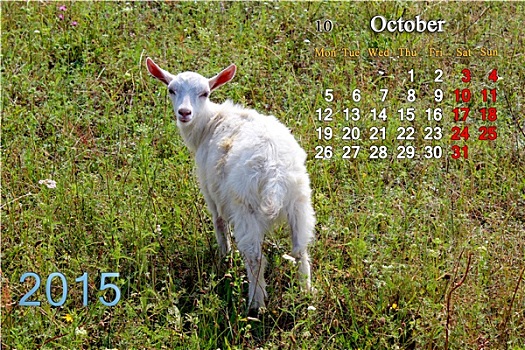 日程,十月,小,山羊