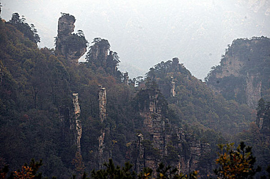 湖南张家界天子山国家森林公园