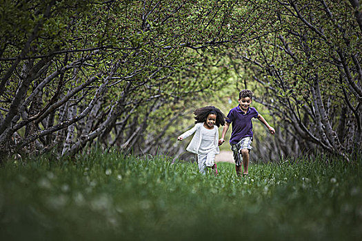 两个孩子,跑,自然,树林,树枝,隧道