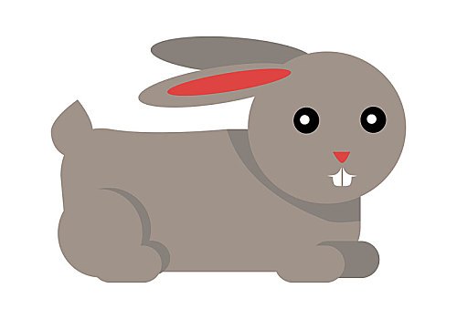 兔子,卡通,隔绝,白色背景,矢量,欧洲兔,棉尾兔,鼠兔,野兔,雄性,公鹿,女性,母鹿,小兔,小猫,小动物,不干胶,孩子