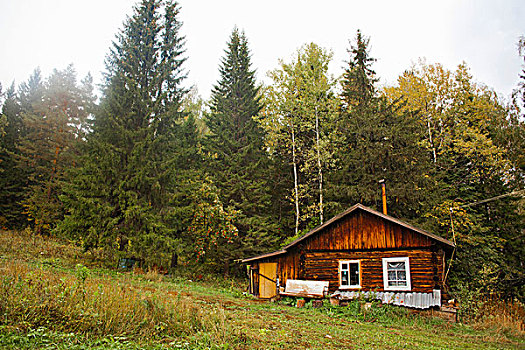 小屋,正面,树林,乡村,区域,俄罗斯