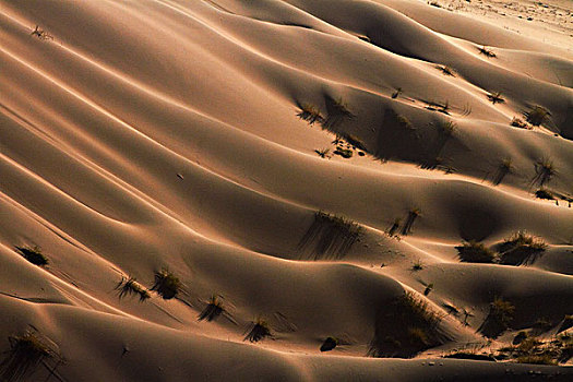 沙丘,靠近,索苏维来地区,纳米比诺克陆夫国家公园,纳米比亚,非洲