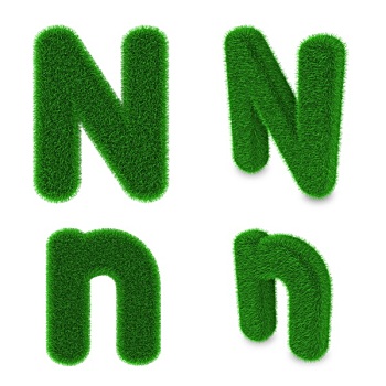 字母n,草