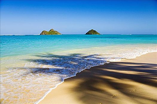 夏威夷,瓦胡岛,莫库鲁阿岛,岛屿,景色,风景,棕榈树,影子