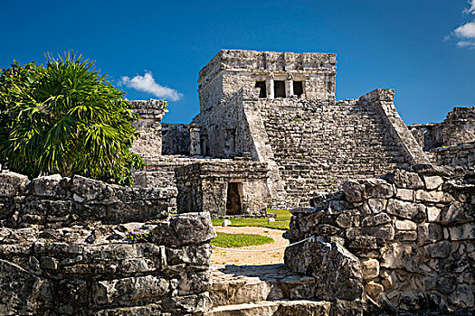 遗址,玛雅,庙宇,地面,尤卡坦半岛,墨西哥
